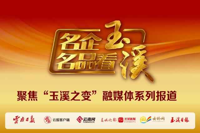 奥仁格管道：守护滇中引水安全的行业标杆