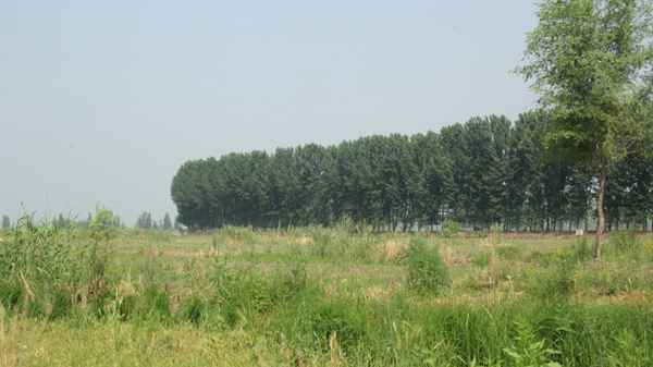 雄县玻璃钢电力管厂家 口述中国｜雄安⑤知鱼善捕的老镇长：休渔期监管要到位