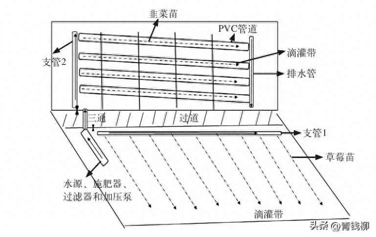 电力管沟扁铁 学习北方草莓温室后墙韭菜管道无土栽培技术