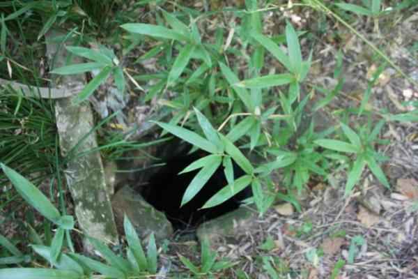 探索无锡古井：每一口井都是历史的活化石