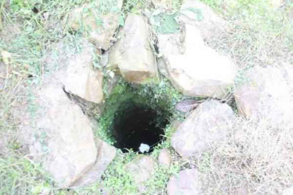 探索无锡古井：每一口井都是历史的活化石