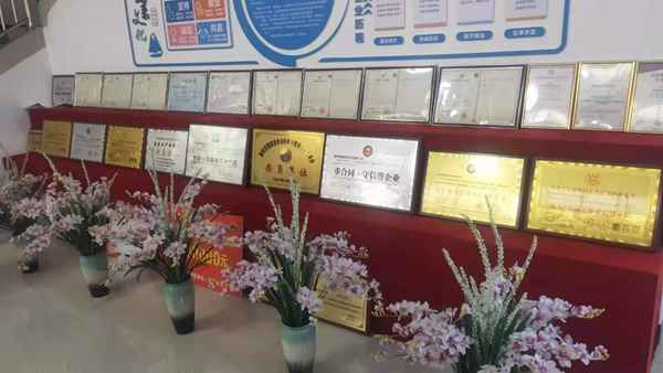 诚邀八方客 同路相伴行——湖南诚路管业科技有限公司二期项目开工典礼暨答谢年会侧记