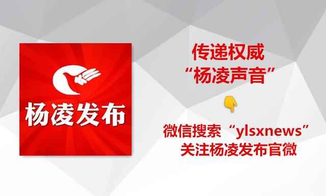 MPP电力管的利润 真牛！新华社为杨凌这家涉农企业转型点赞