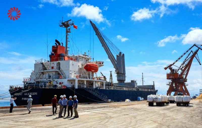 国家能源集团连江港电携手元颐电力，创新共建国内首条50万吨级生物质碳化产线